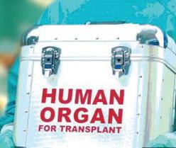 Ensure hospitals share organ transplant data: Centre to states