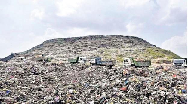 Solid waste management: SC orders 'massive' awareness drives for bulk generators