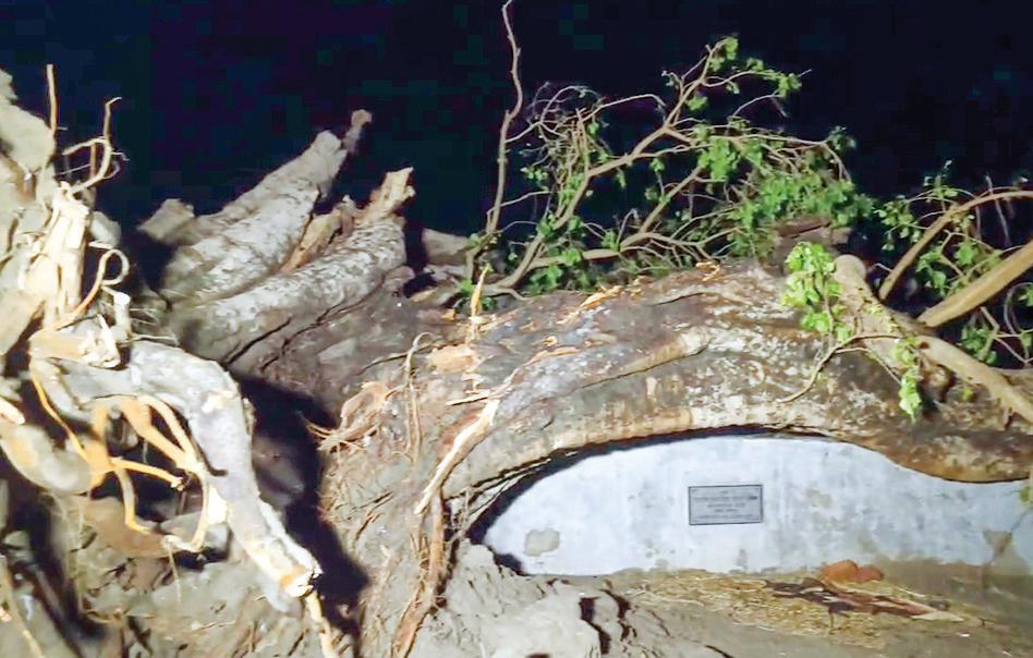 80 Killed as Rains, Storms Wreak Havoc in Bihar, Kin of Deceased to Get Rs 4 Lakh