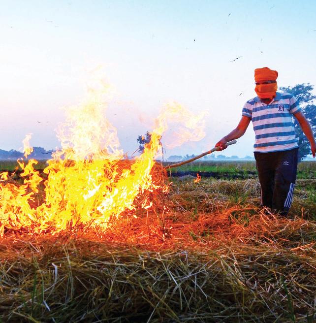 Punjab Unveils Rs 500-Cr Plan to Banish Stubble-Burning