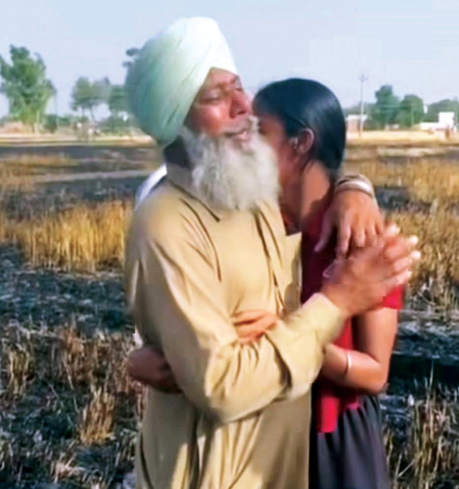 Farmers Left in Lurch as Standing Wheat Crop in Acres Gutted
