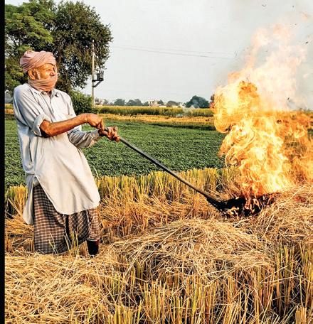 Haryana Takes Steps to Help Farmers Amid Crop Fires, Punjab Yet to Act