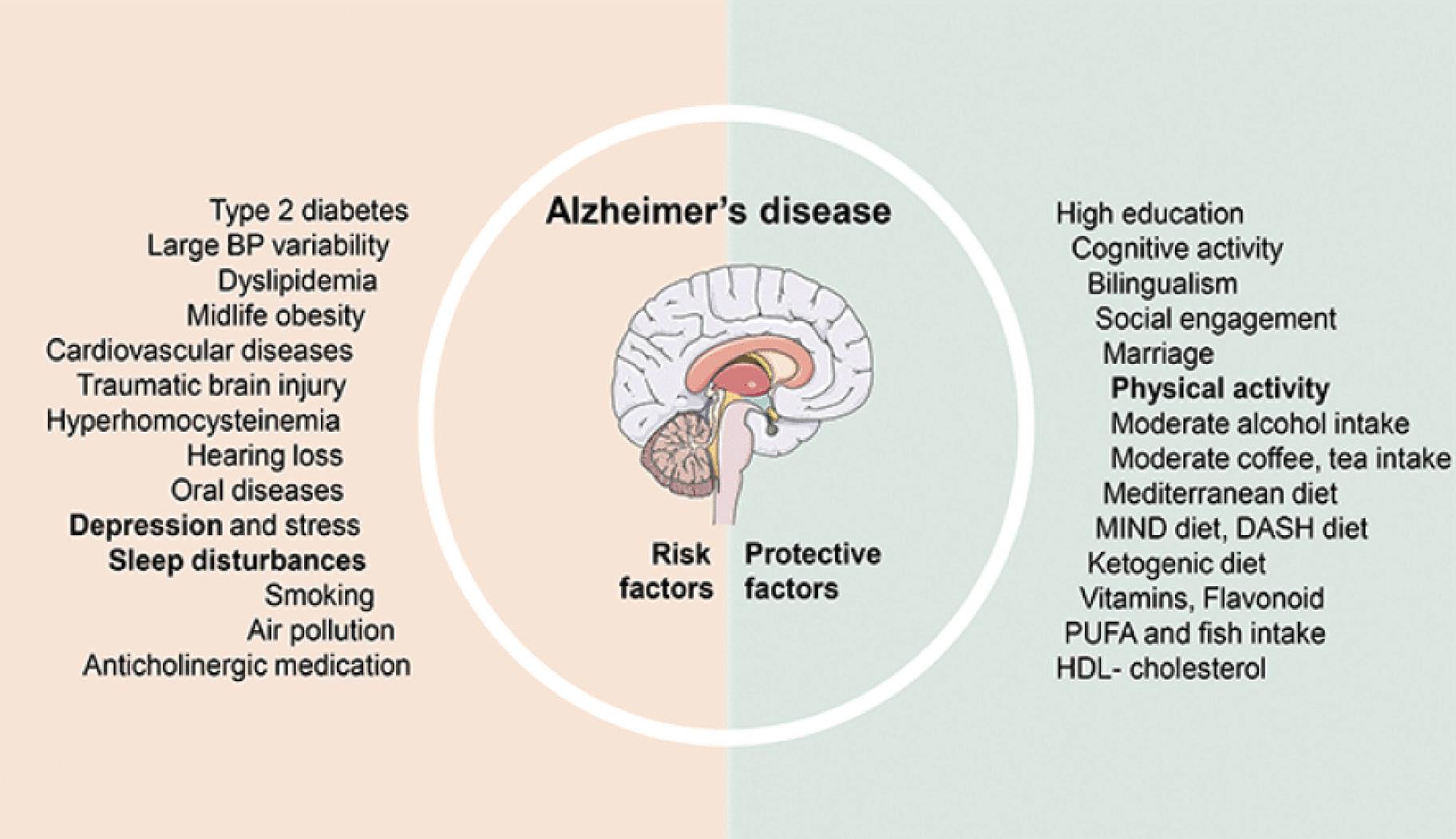 Even Light Exercise Can Help Slow Cognitive Decline In People At Risk Of Alzheimer's: Study