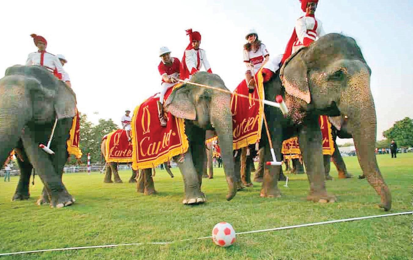 Polo in Rajasthan: The Royal Game of the Desert State