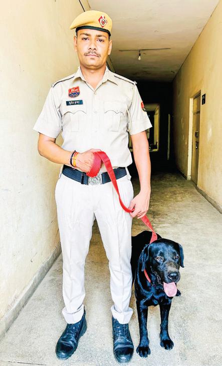 Sniffing out threats: Canine squad sets a record in Haryana
