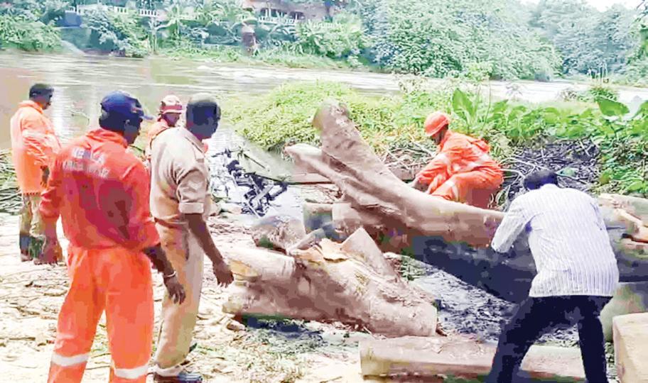 Heavy rains cause widespread damage in Kerala; IMD issues red alert for 8 districts