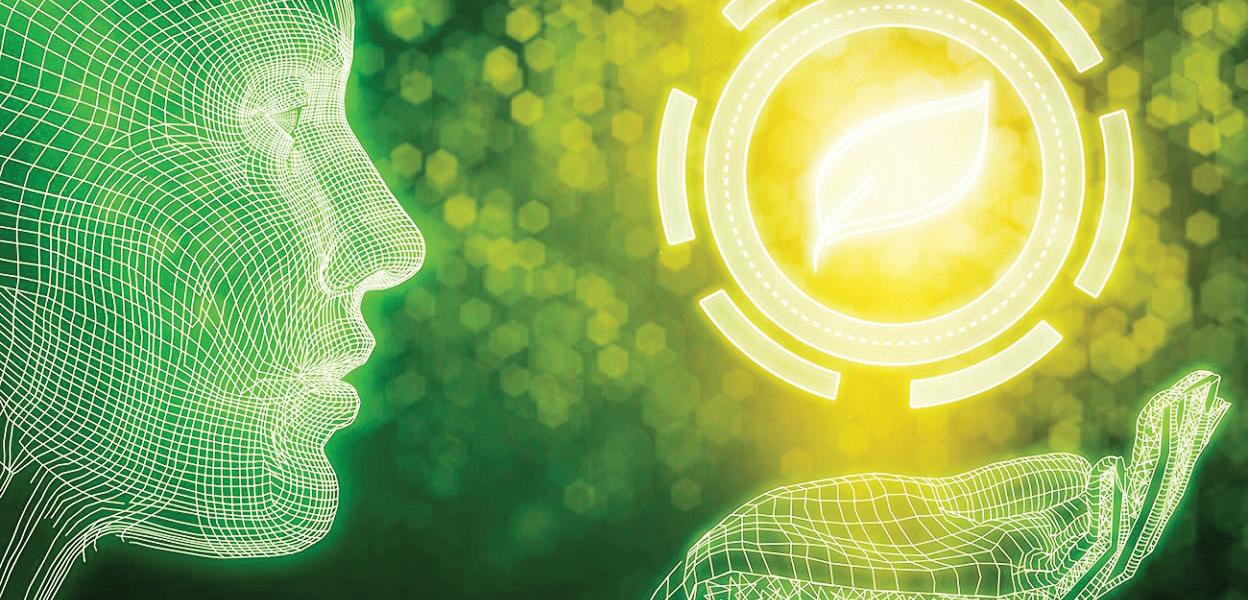 Can We Train AI To Think Green?