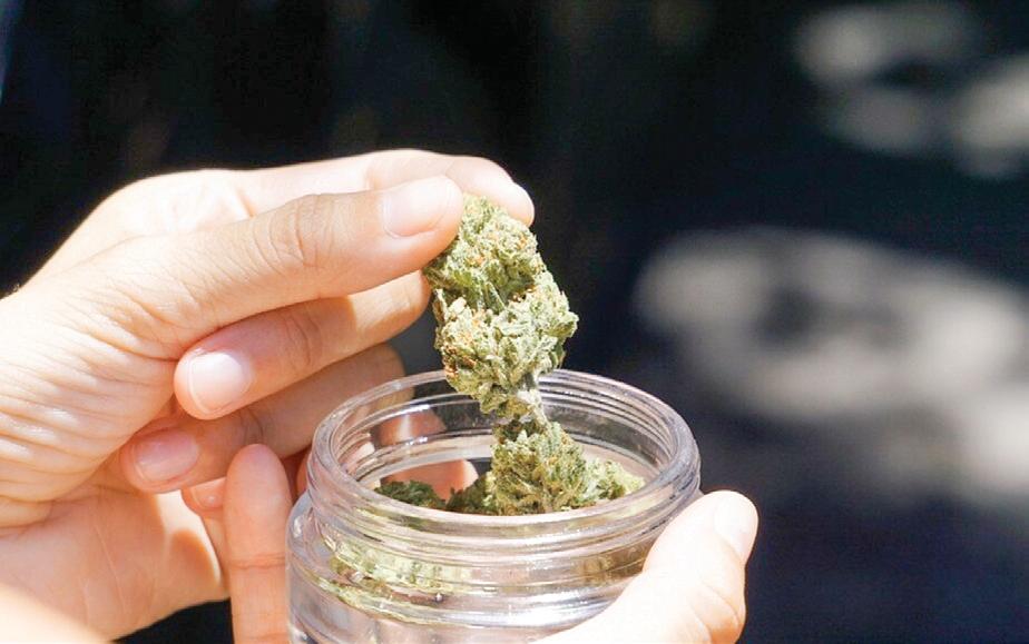 Delhi's 'drug lord' Dharamveer wanted in 567-kg cannabis case in Rajasthan, arrested