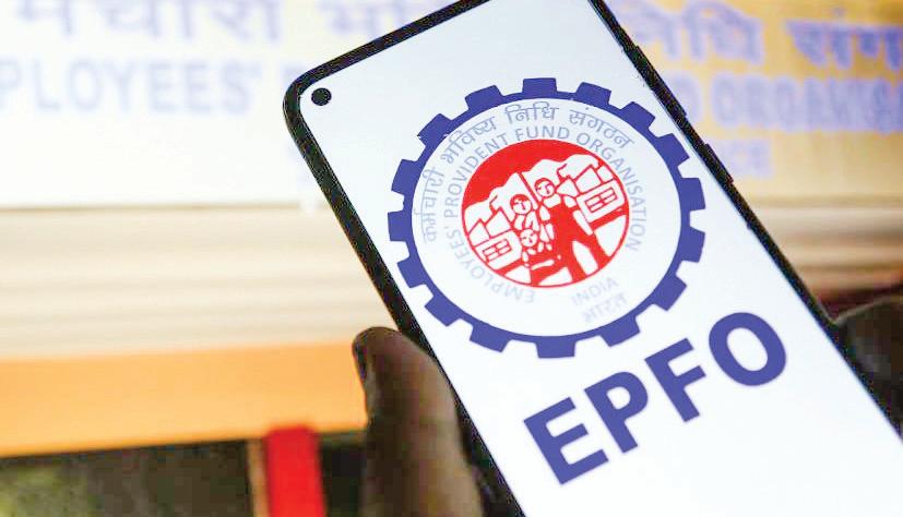 EPFO Adds 20.06 Lakh Members in May: Provisional Payroll Data