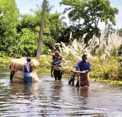 Floods Affect Over 11,000 in Odisha