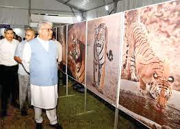 India's Tiger Reserves grew from 46 to 58 since 2014: Bhupender Yadav