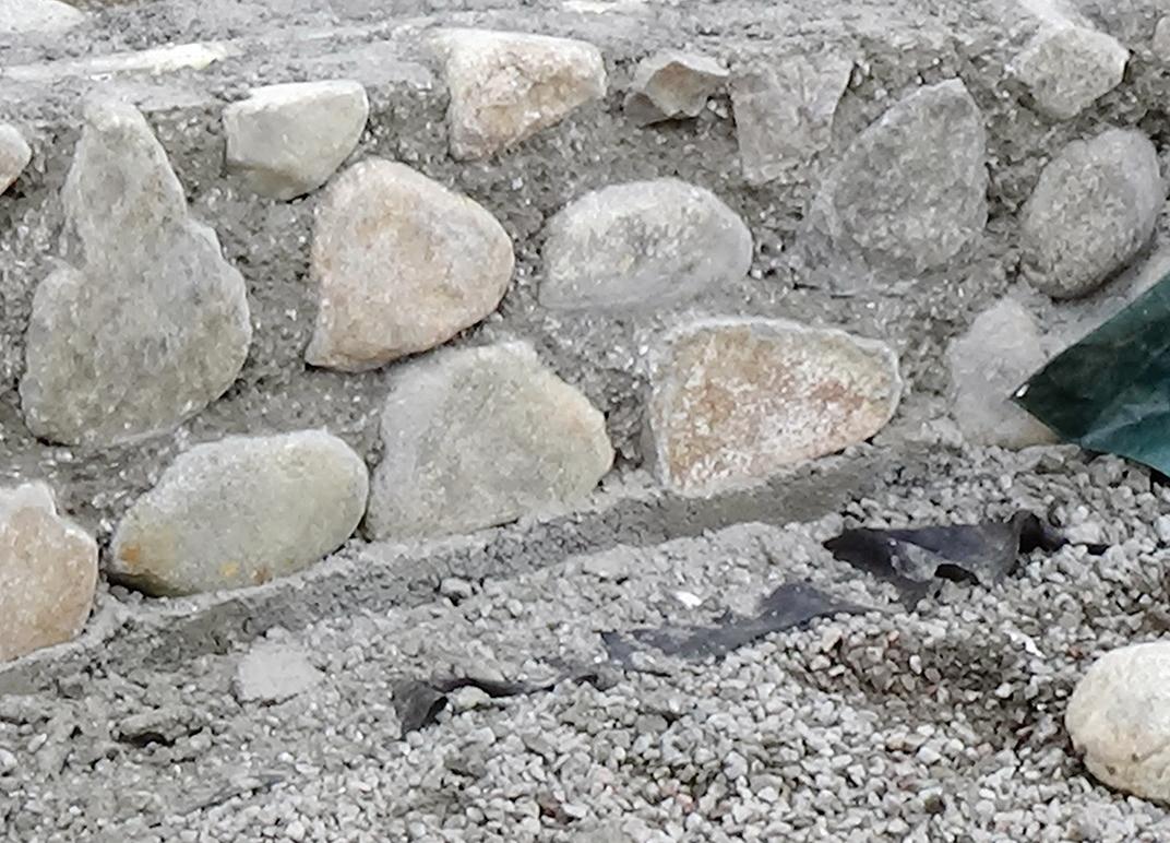 UNDERVALUED SKILLS: WHY DO WE NEED TO BUILD ROCK-SOLID STEM FOUNDATION?