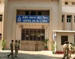 UK team inspects Tihar in extradition push