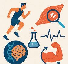 TOP SCIENCE-BACKED SUPPLEMENTS TO BOOST YOUR WORKOUT SAFELY