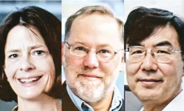 US, Japanese scientists win 2025 Nobel Prize in Medicine