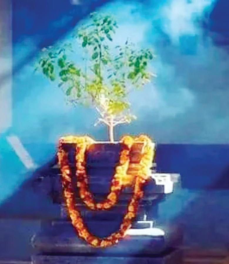 Karthik month: A sacred time for devotion and spiritual renewal