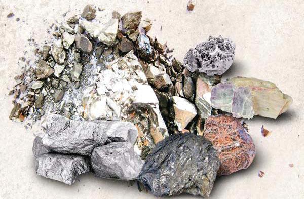 Expert urges PPP model to build rare earth value chains