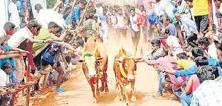 UP: 18 YouTubers booked for promoting illegal bull races