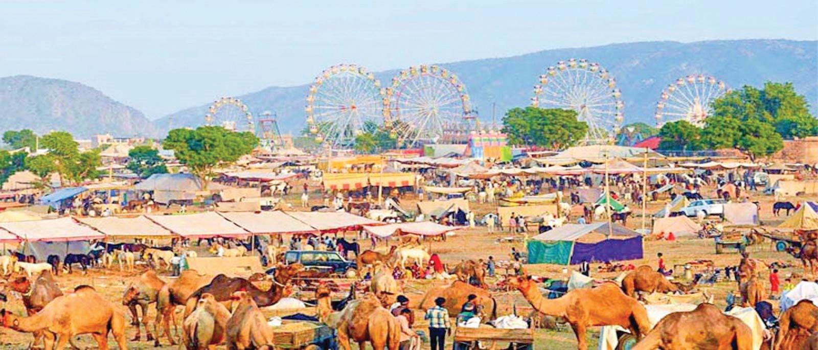PUSHKAR FAIR: A FESTIVE EXTRAVAGANZA OF LIVESTOCK AND CULTURE