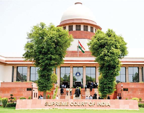 SUPREME COURT SUMMONS CHIEF SECRETARIES OVER STRAY DOG MENACE