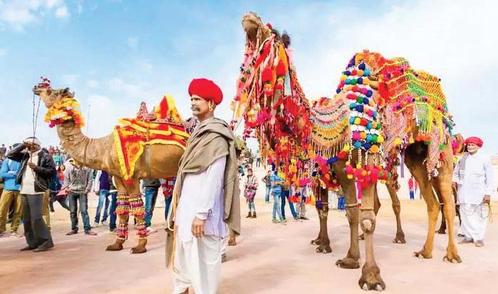 PUSHKAR FAIR: A SPECTACLE OF CULTURE AND CAMARADERIE IN RAJASTHAN