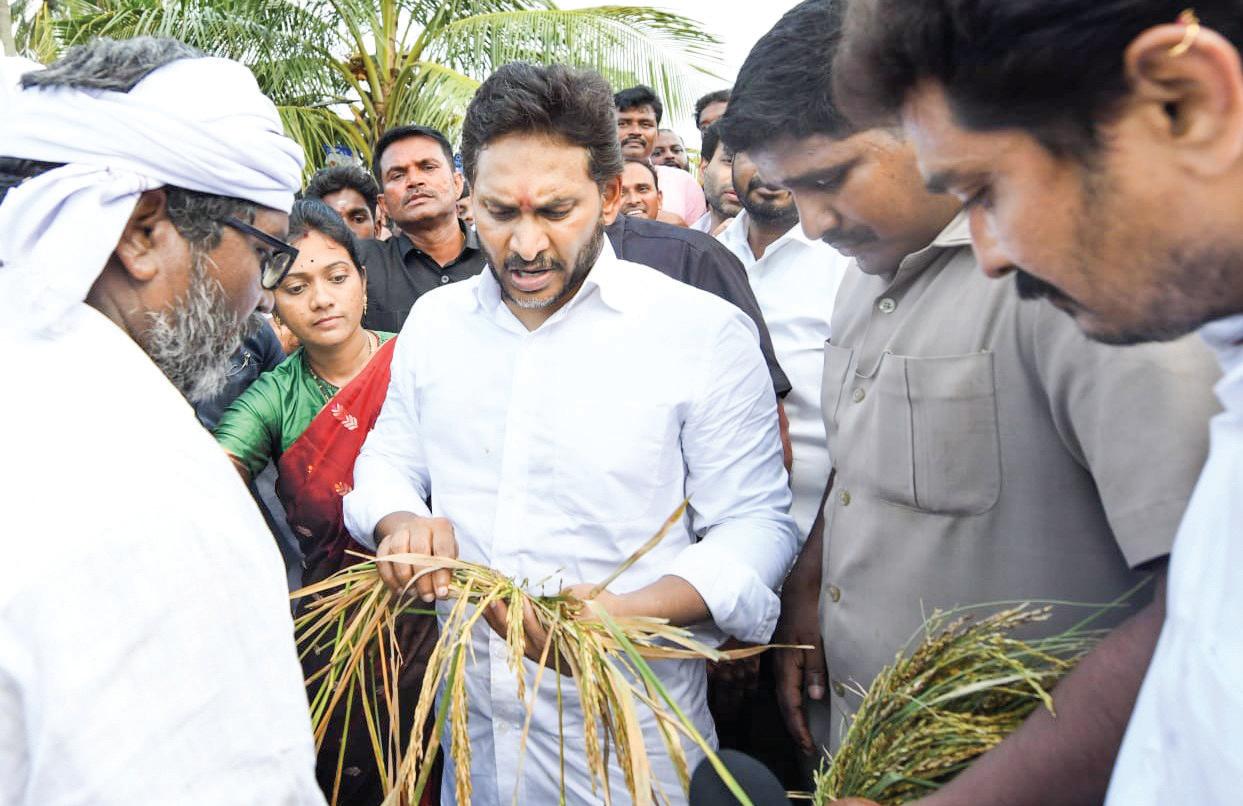 JAGAN VISITS CYCLONE-HIT AREAS, DEMANDS CROP INSURANCE FOR FARMERS IN T’GANA