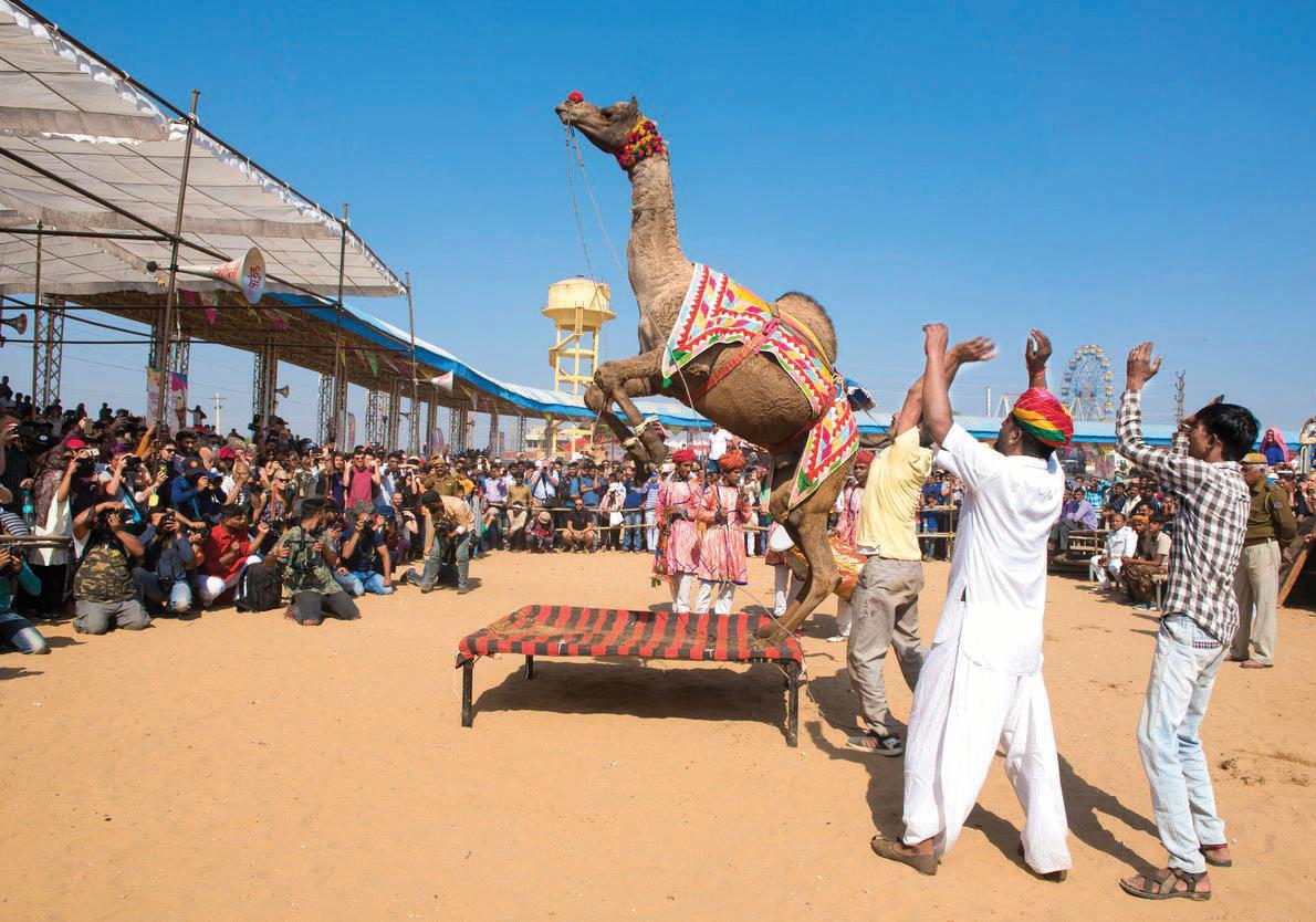 Pushkar Mela: Rajasthan's vibrant celebration of culture and tradition