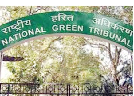 NGT Directs Action to Protect Forest Land in South Delhi