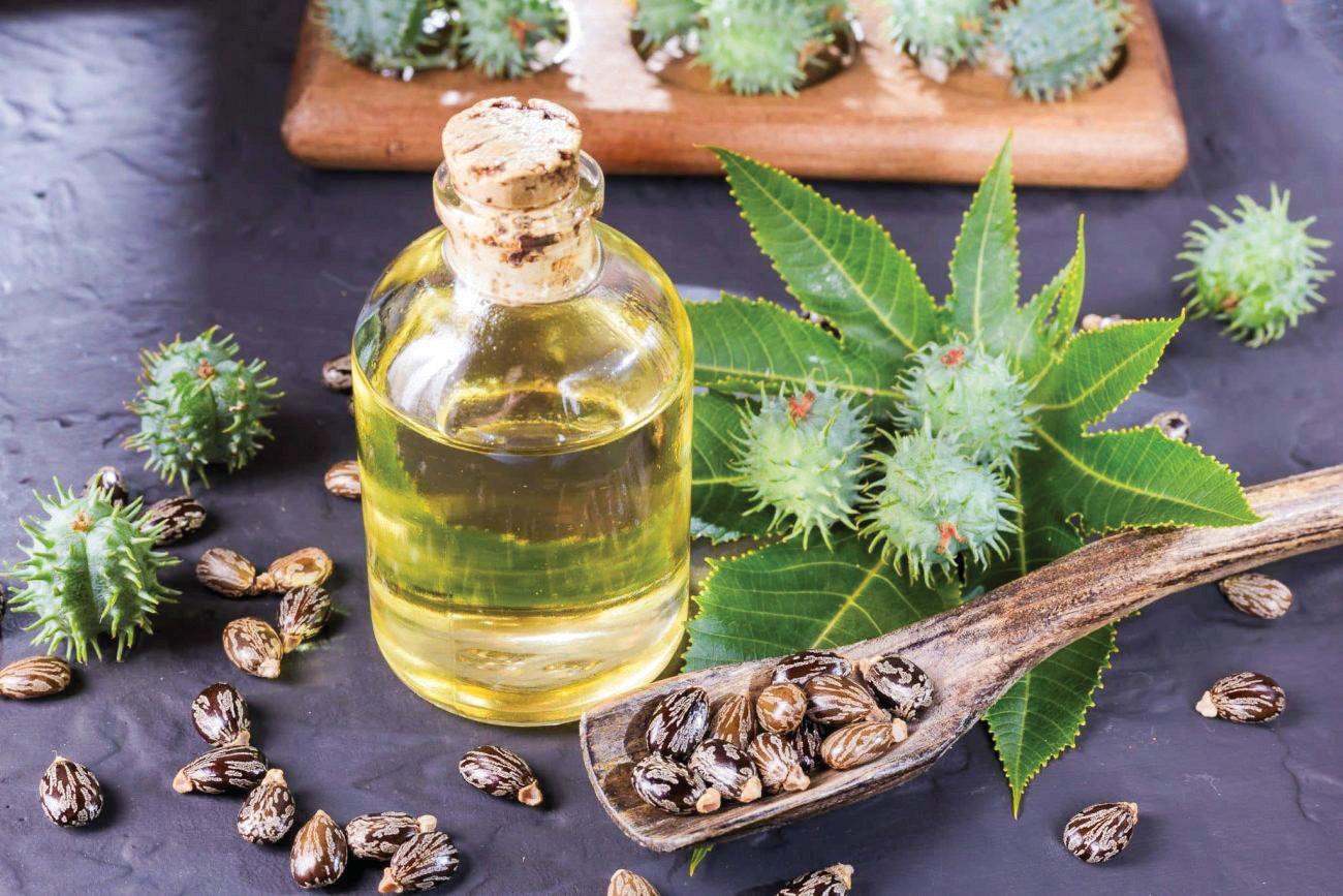CASTOR OIL: LIQUID GOLD FOR YOUR SKIN, HAIR, AND HEALTH