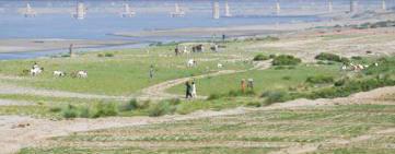 Indus Waters Treaty proceedings to take place in Vienna next week: Pak