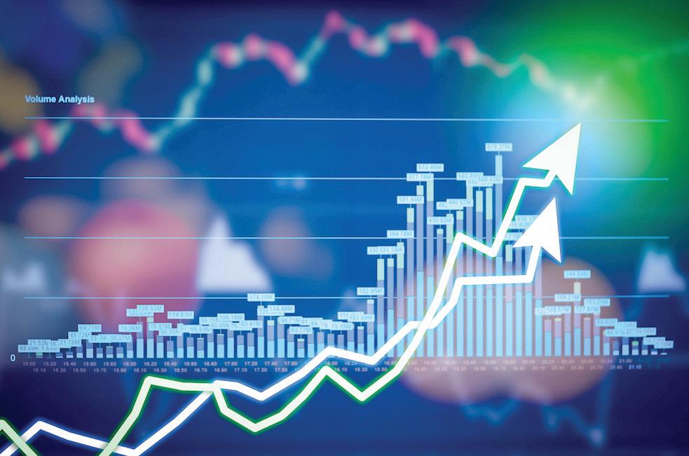 Shareholders or spectators: Role of retail individual investors