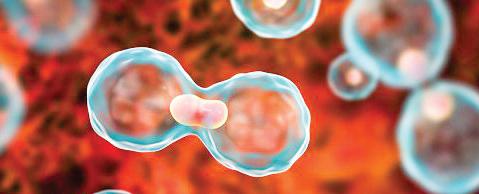 'Children first': Experts demand stronger policy, wider coverage for cancer care