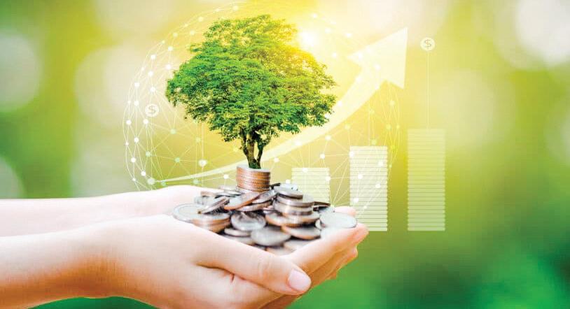 Louder than claims, quieter than truth: India’s greenwashing-greenhushing dilemma