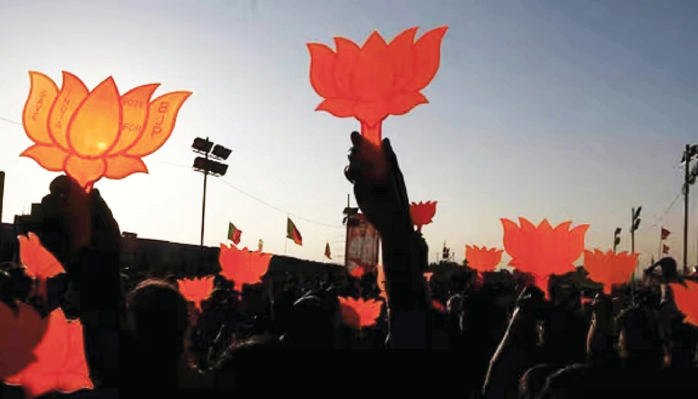 Lotus shines brighter than ever