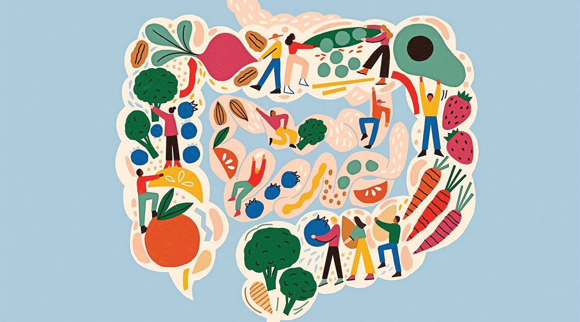 Optimize digestion and improve your immunity: Know how?