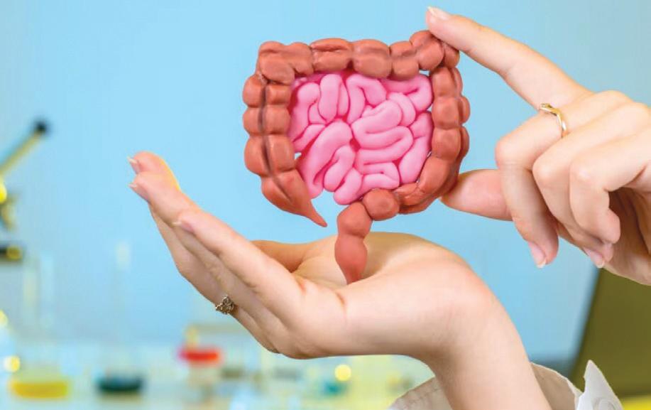 Pollution vs. Your Gut: 5 Ways to Stay Healthy This Season