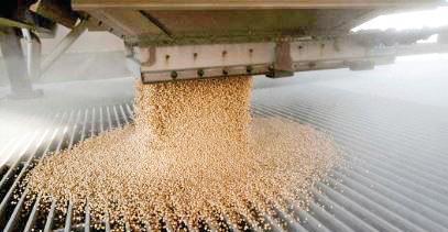 China buys at least 10 US soybean cargoes in new deals after Trump-Xi call