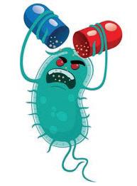The Superbug Next Door: Everyday Antibiotic Misuse