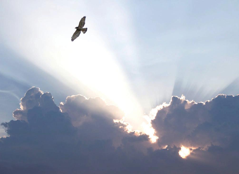 WHATEVER HAPPENS IS FOR GOOD: EMBRACING LIFE WITH FAITH