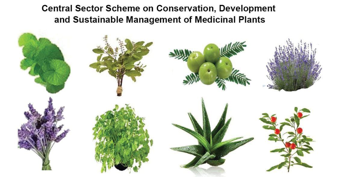 INDIA'S TRADITIONAL MEDICINE SYSTEMS