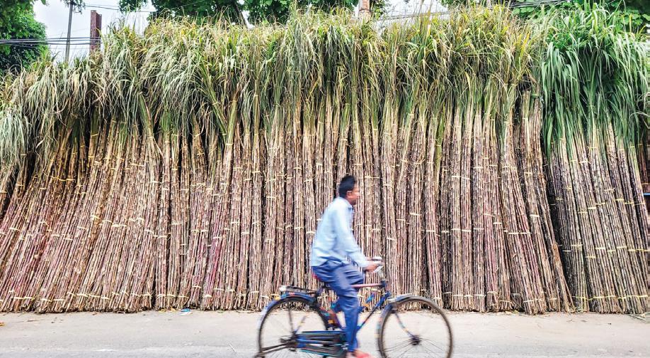 ISMA seeks higher sugar Minimum Selling Price to safeguard financial health of sugar farmers