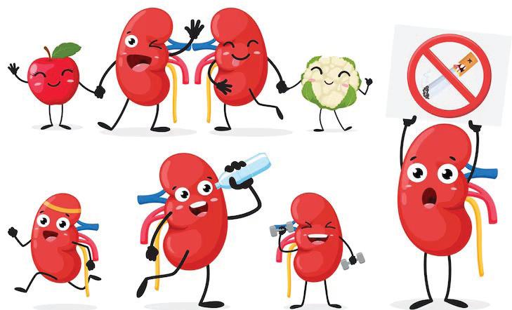 TIPS FOR KIDNEY HEALTH AND POST-TRANSPLANT LIFESTYLE CARE