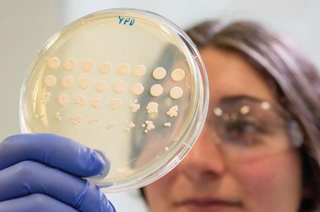 2025 WRAPPED: 10 FOOD-TECH WINS THAT MATTERED