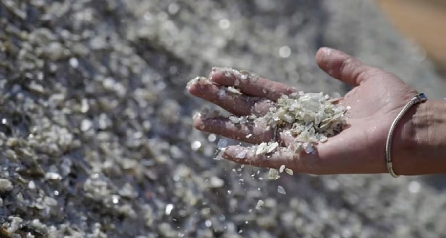 India’s critical minerals mission directionally right but moving slower than expected: Novasensa