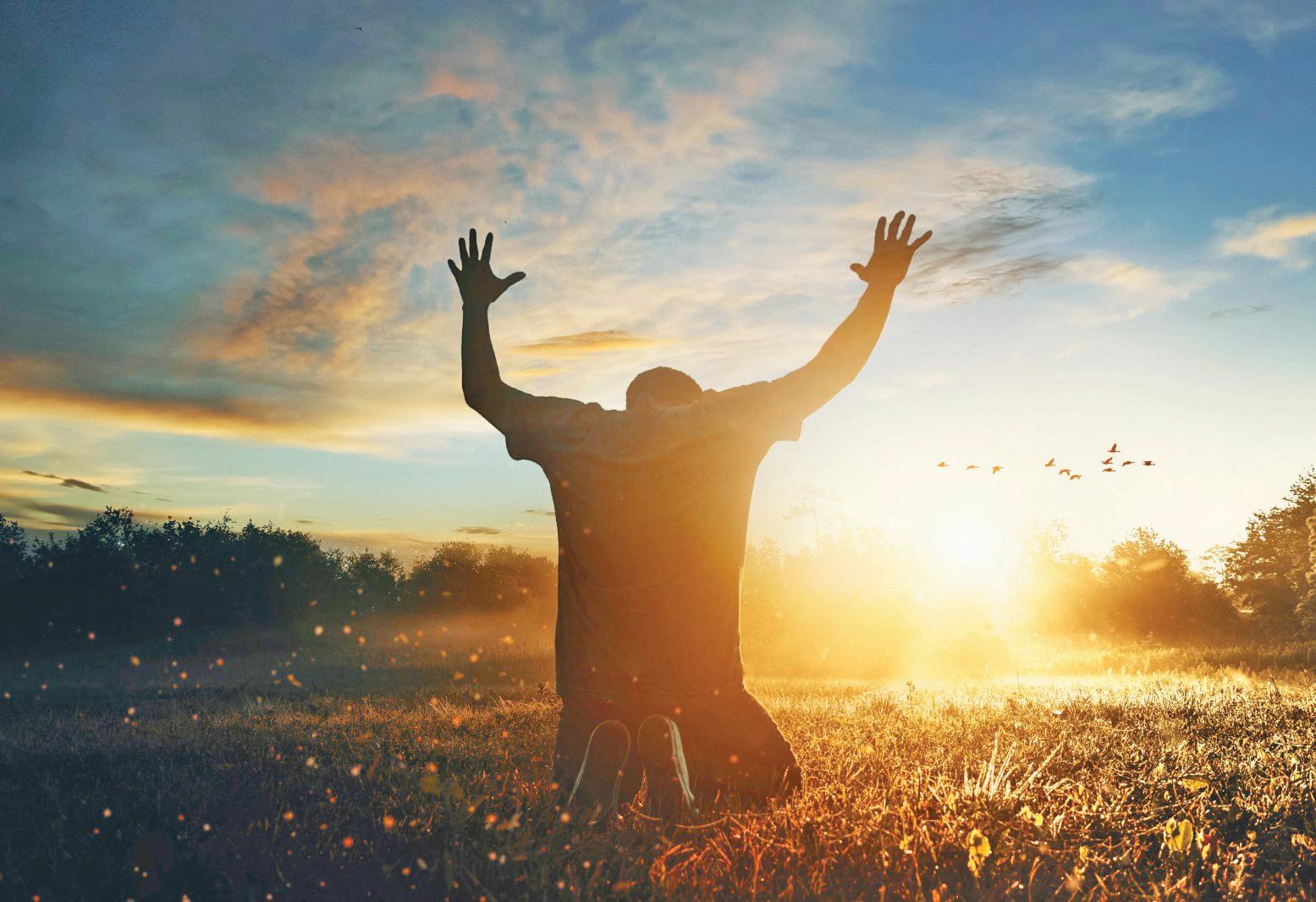 Surrender and Spirituality: The path to inner freedom