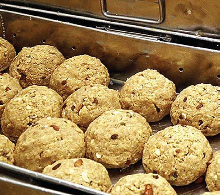 Tirupati laddu row: Delhi HC refuses immediate stay on media publications