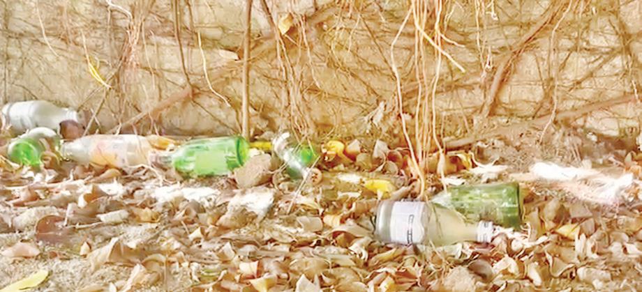 Another sacrilege in Tirumala: Liquor bottles found on the hill
