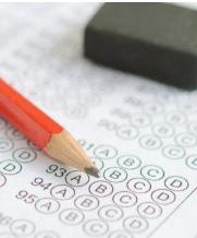 Chhattisgarh exam question on dog named ‘Ram’ sparks backlash