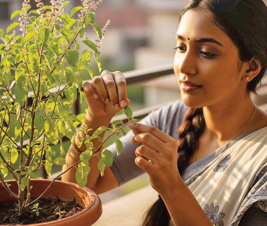 NATURE'S SUPPORT FOR IMMUNITY AND BALANCE
