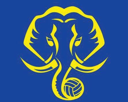 Kerala Blasters confirm ISL participation after government mediation